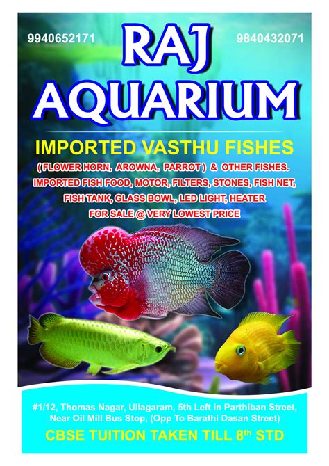 Raj Fish Aquarium – RAJ FISH AQUARIUM.